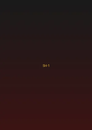 四虎 - 江湖风云录海报